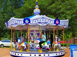 Amusement Park Rides Carnival Carousel for Sale
