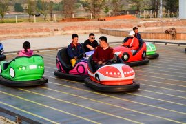 Bumper Cars - One Most Popular Amusement Park Rides